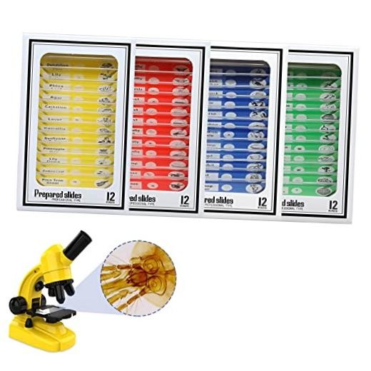 Microscope Slides with Specimens for Kids – Kids Prepared Stereo 48pcs