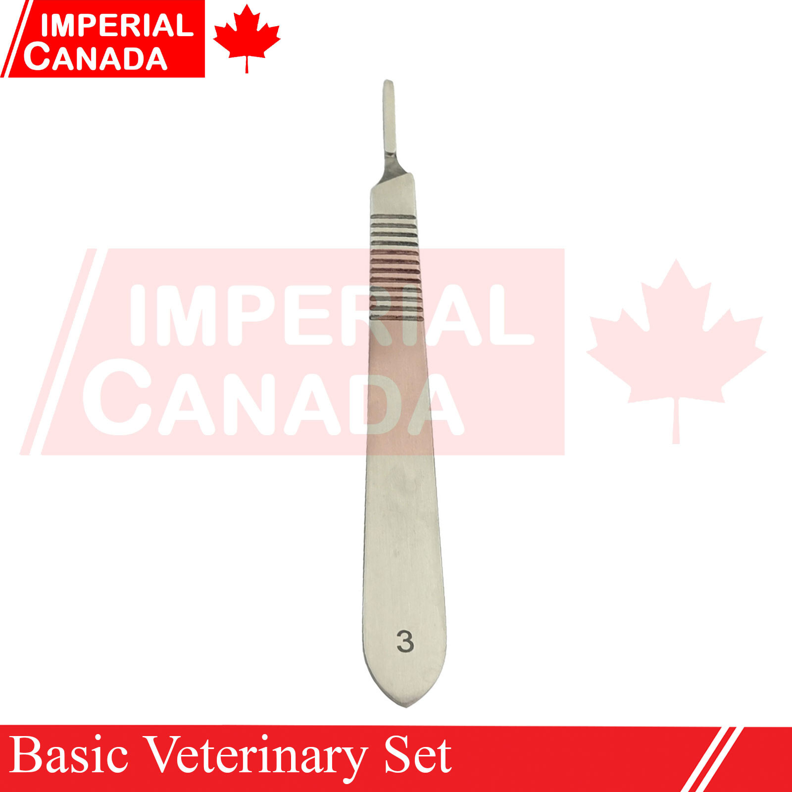 6 Pcs Basic Veterinary Set Instruments Scalpel+Scissors+Needle Holder+Re DS-1968