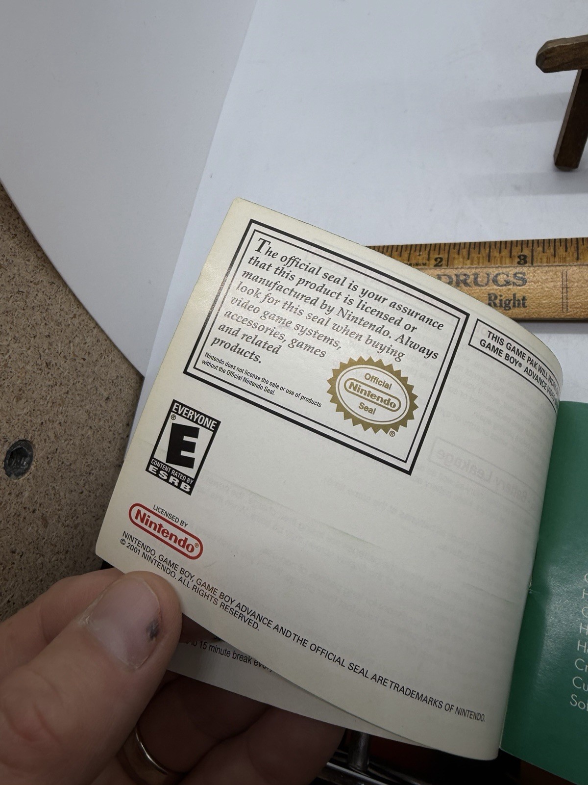 Gameboy Advance Pitfall Instruction Booklet Only Collectible Cool!