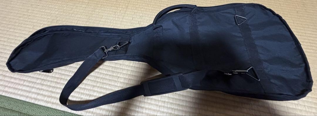 GrassRoots Electric Guitar Safe Packing!