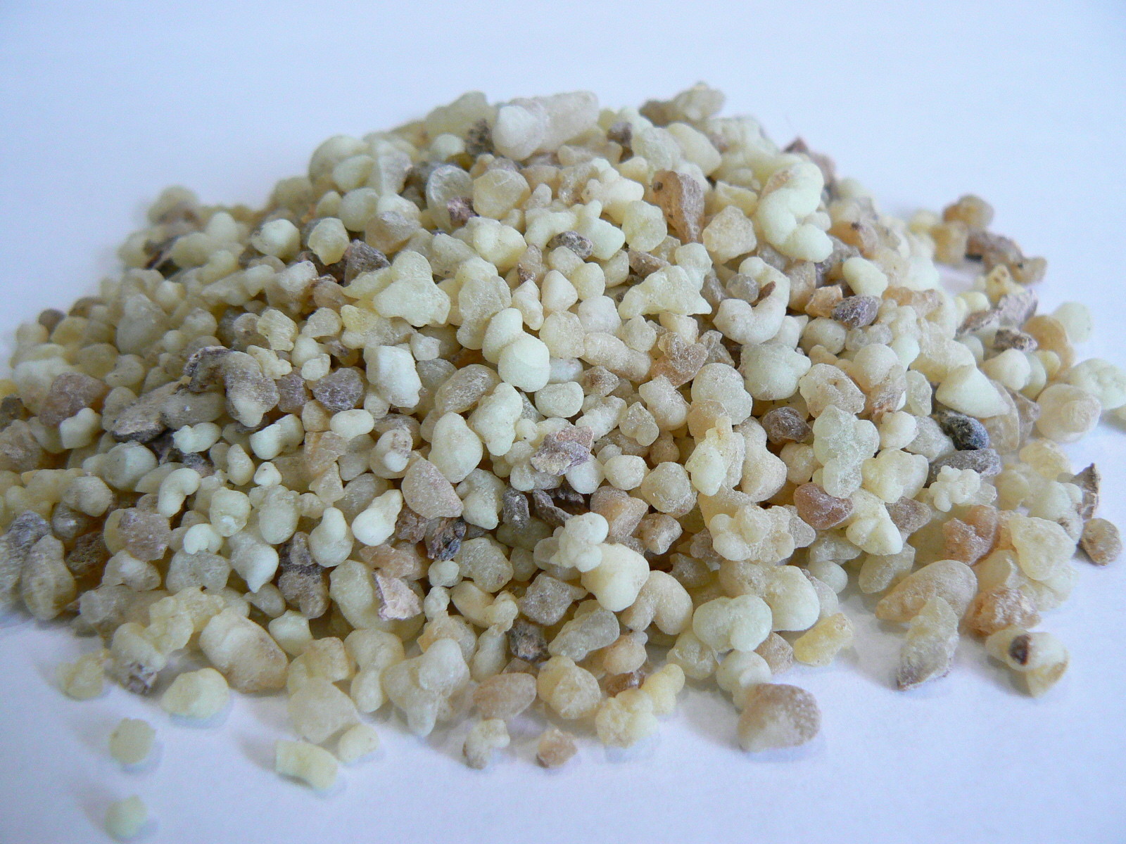 Oman Olive Bean Incense - Sacred Boswellia - 50 Grams