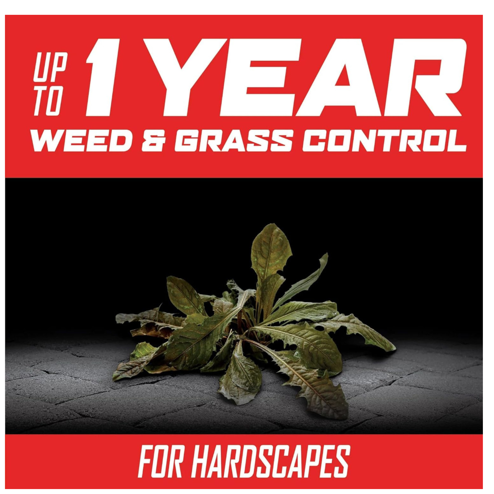 Ortho GroundClear Year Long Vegetation Killer2 Concentrate - Weed Killer