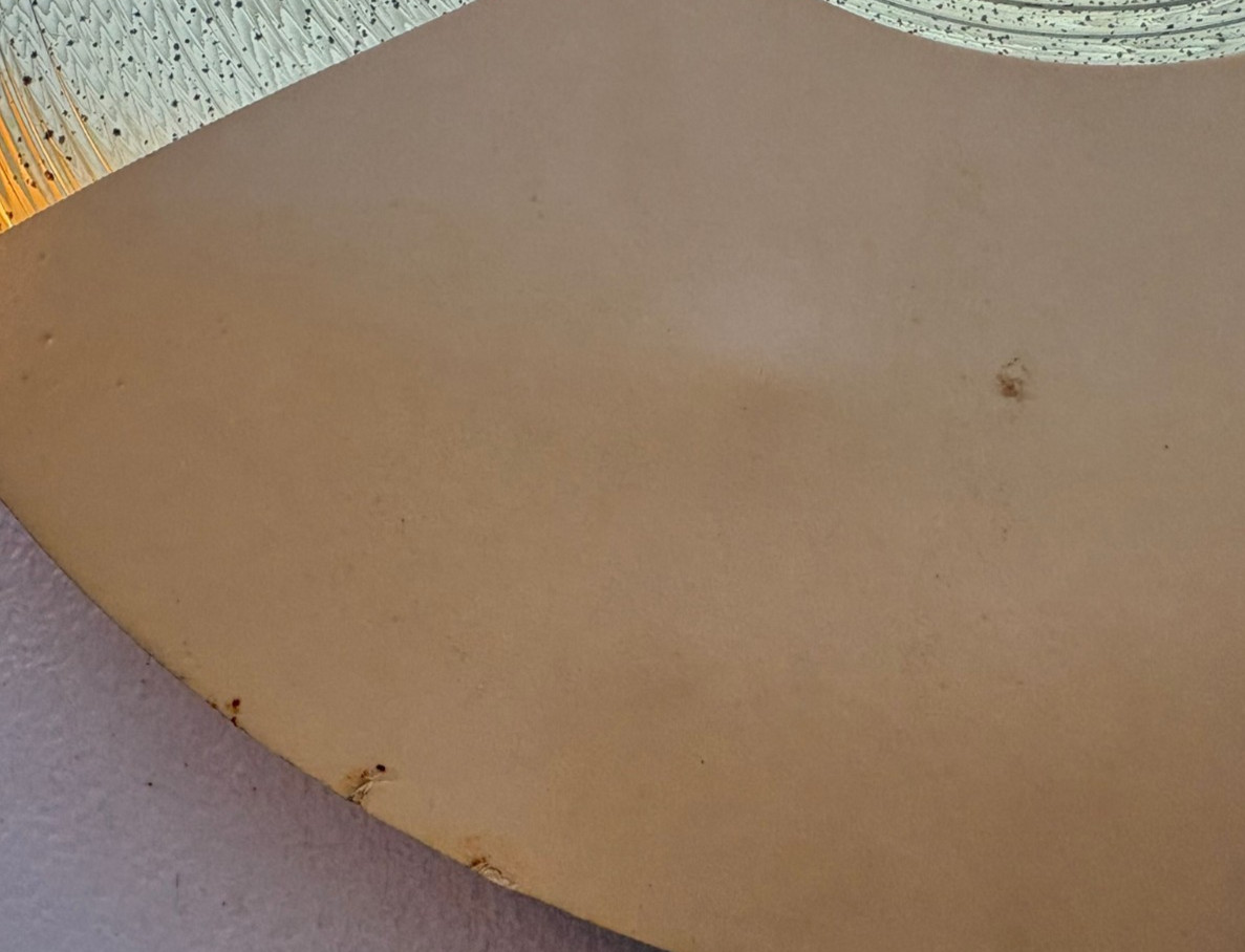 Hart Dynamics 12" Ecymbal Electronic Cymbal Only (No Cable / Scuffs)