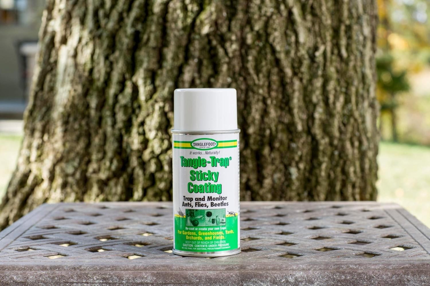 Tanglefoot Fly Sticky Coating Aerosol 10oz