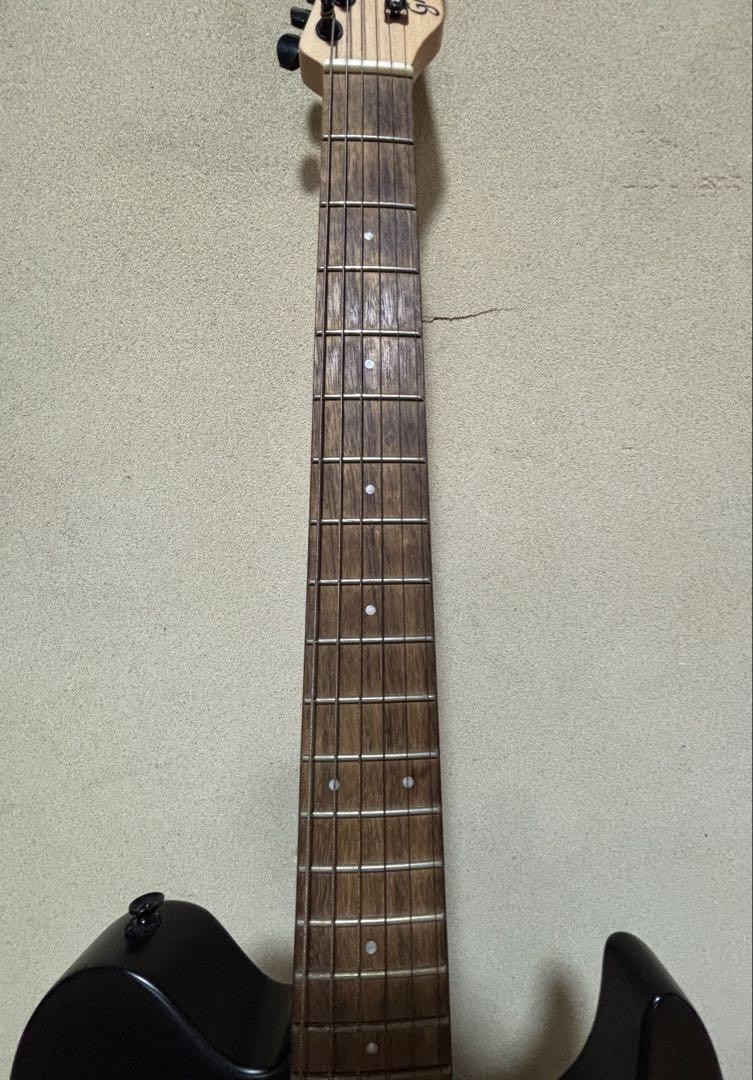 GrassRoots Electric Guitar Safe Packing!
