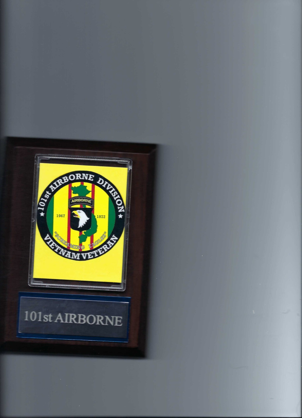 101st AIRBORNE VIETNAM PLAQUE MILITARY US USA PHOTO PLAQUE AWARD