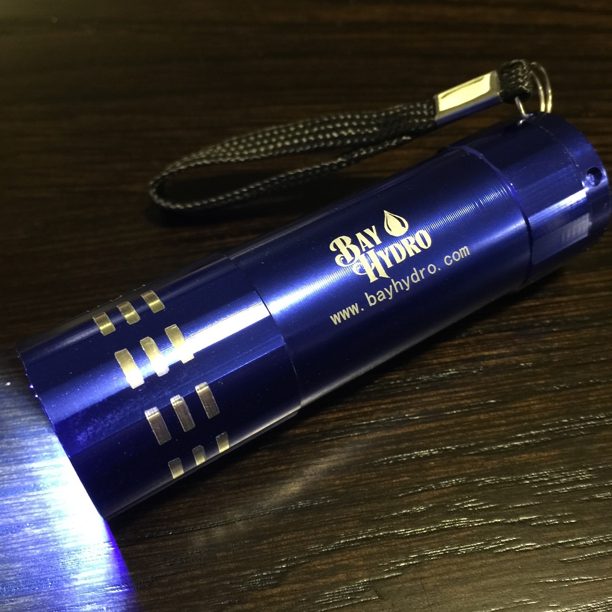 Bay Hydro Super Bright WHITE LED Torch FlashLight High-Intensity Compact Design