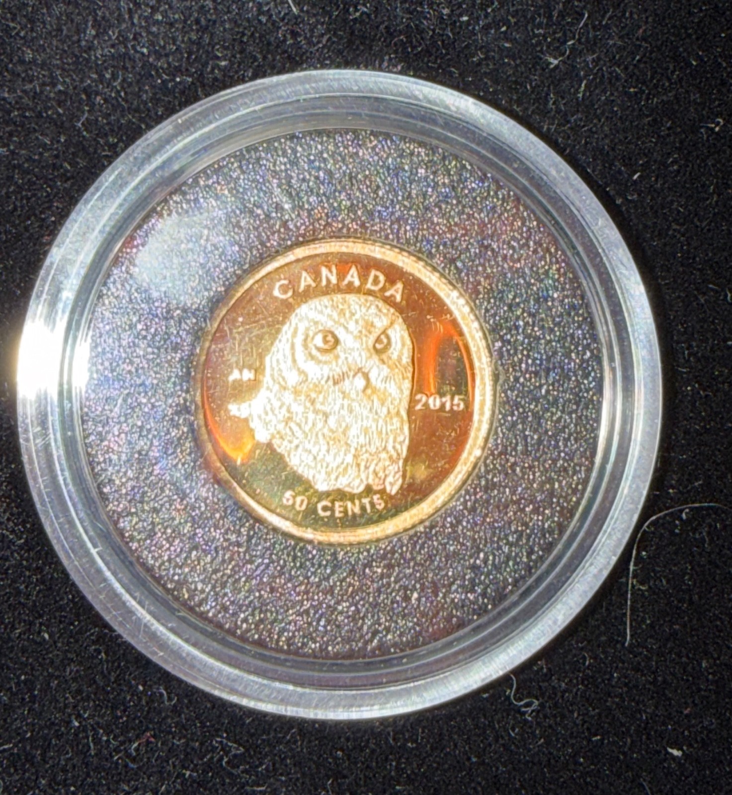1/25 oz Snowy Owl Gold Coin 2015 .9999
