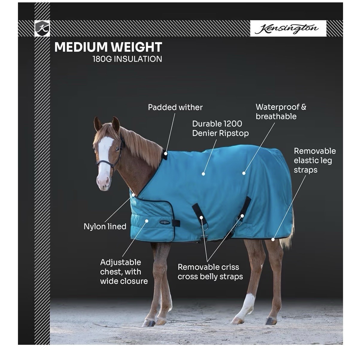 Kensington Medium Weight Turnout Blanket Black