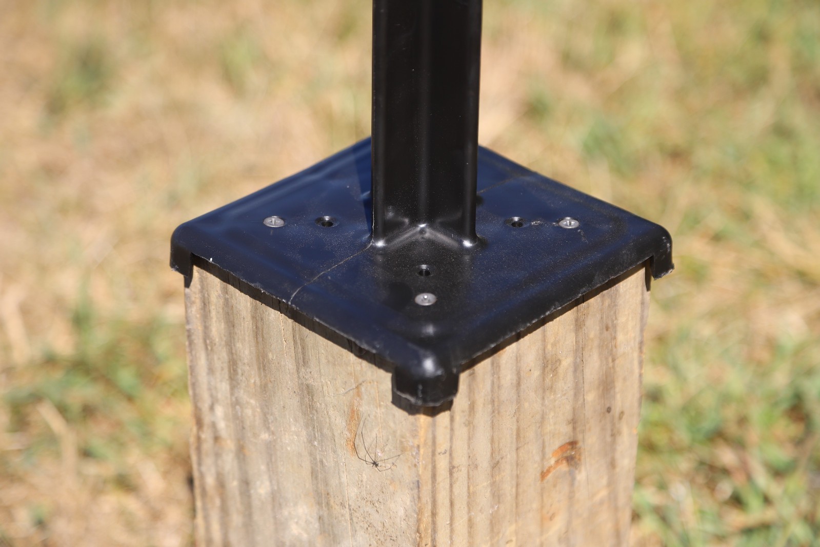 Deer feeder