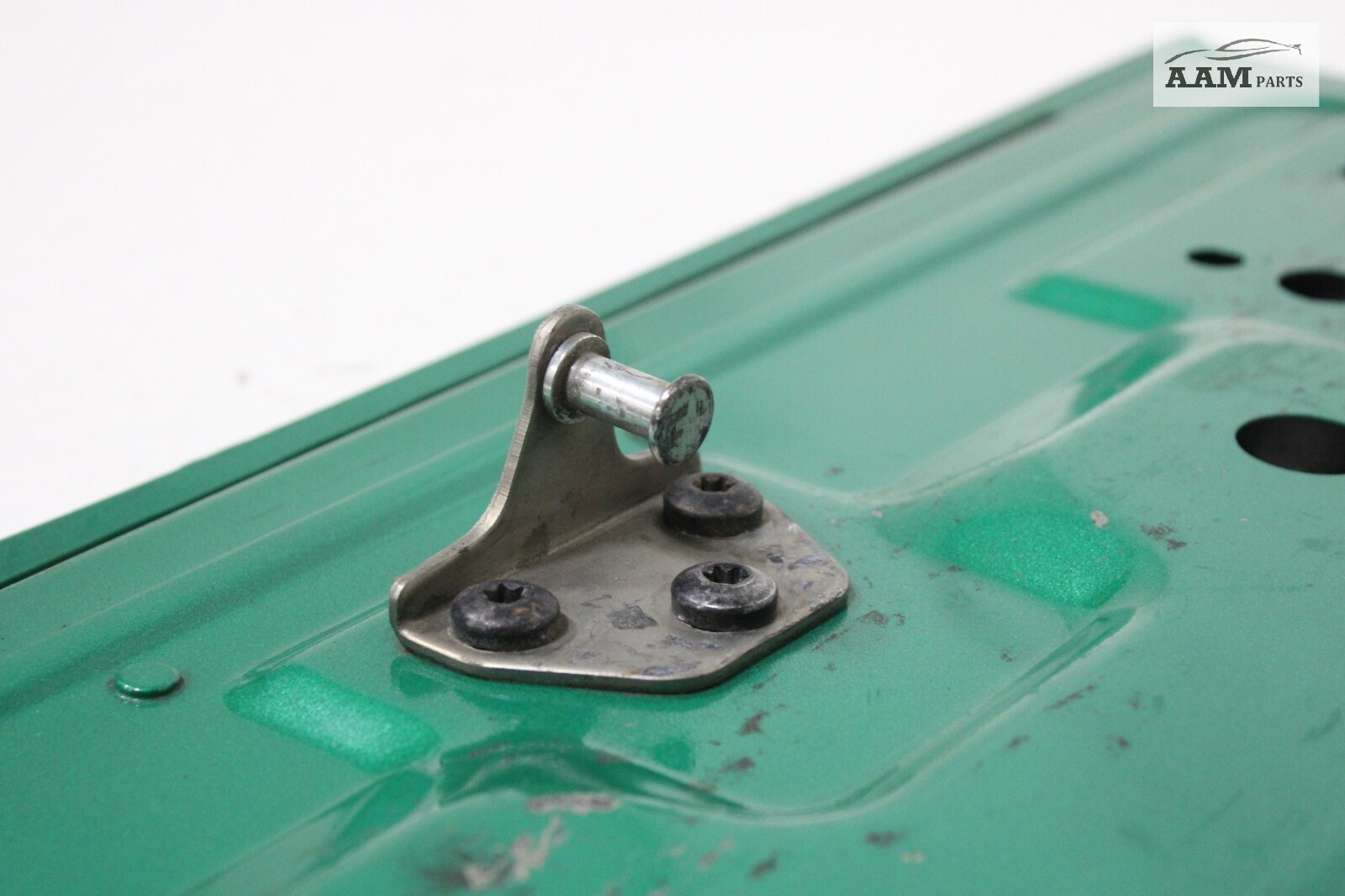 2018-2024 VOLVO VNL 860 REAR RIGHT DOOR COVER PANEL IRISH GREEN MET OEM