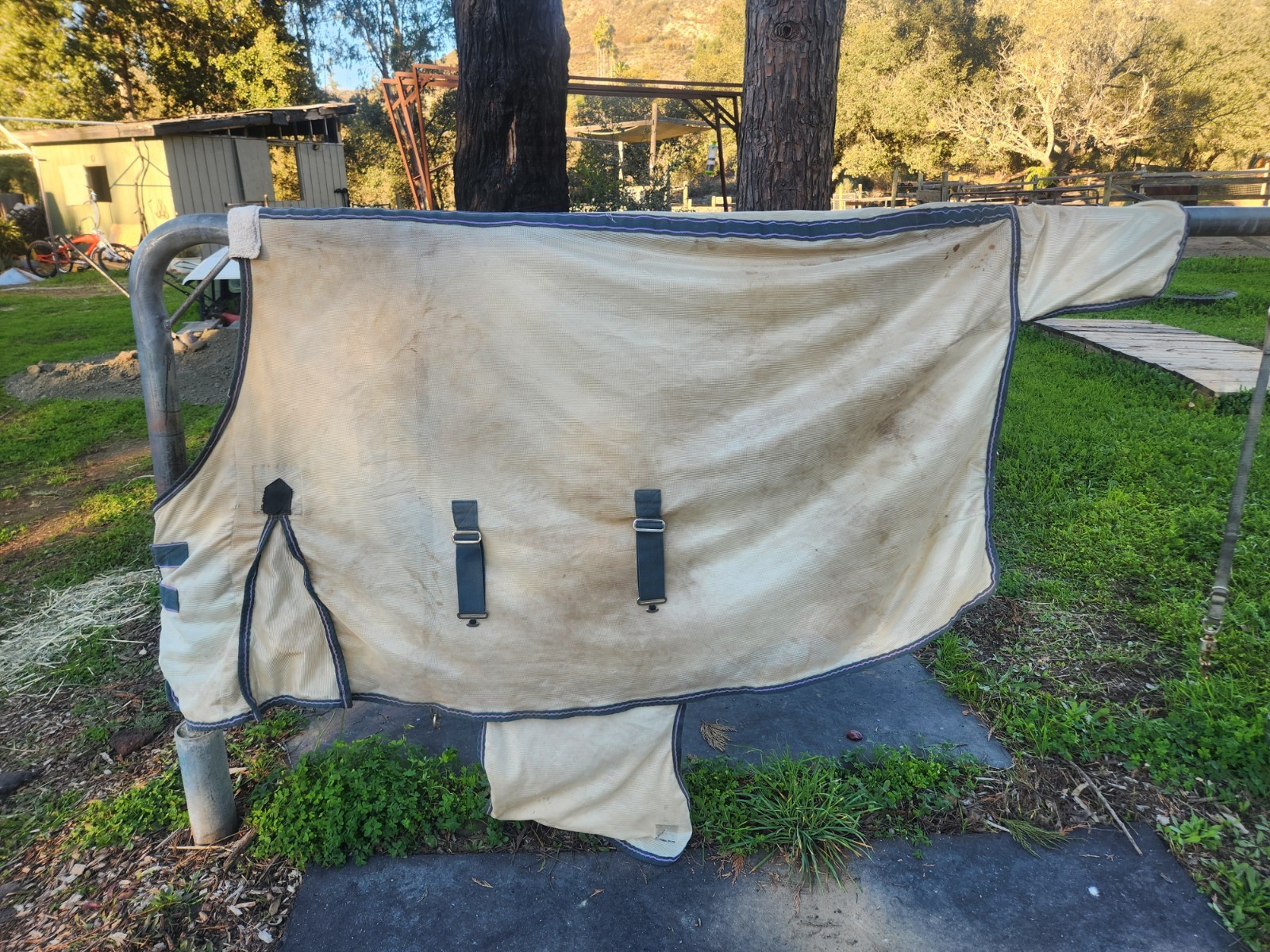 Saxon Soft Mesh Standard Neck Fly Sheet with Belly Guard Size 78"