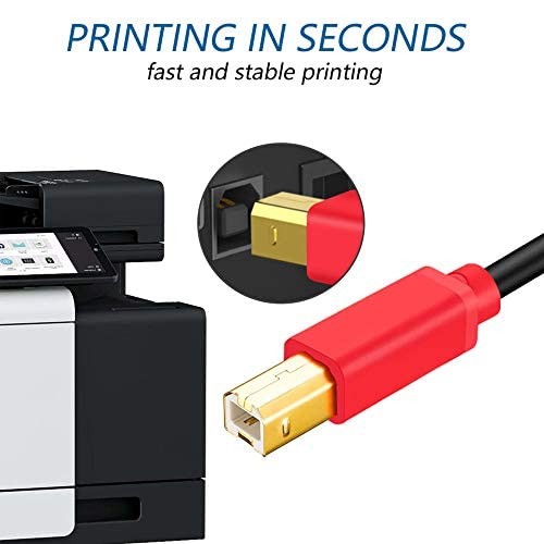 Tan QY Printer Cable 30Ft, USB 2.0 High Speed Gold-Plated Red, 30Ft