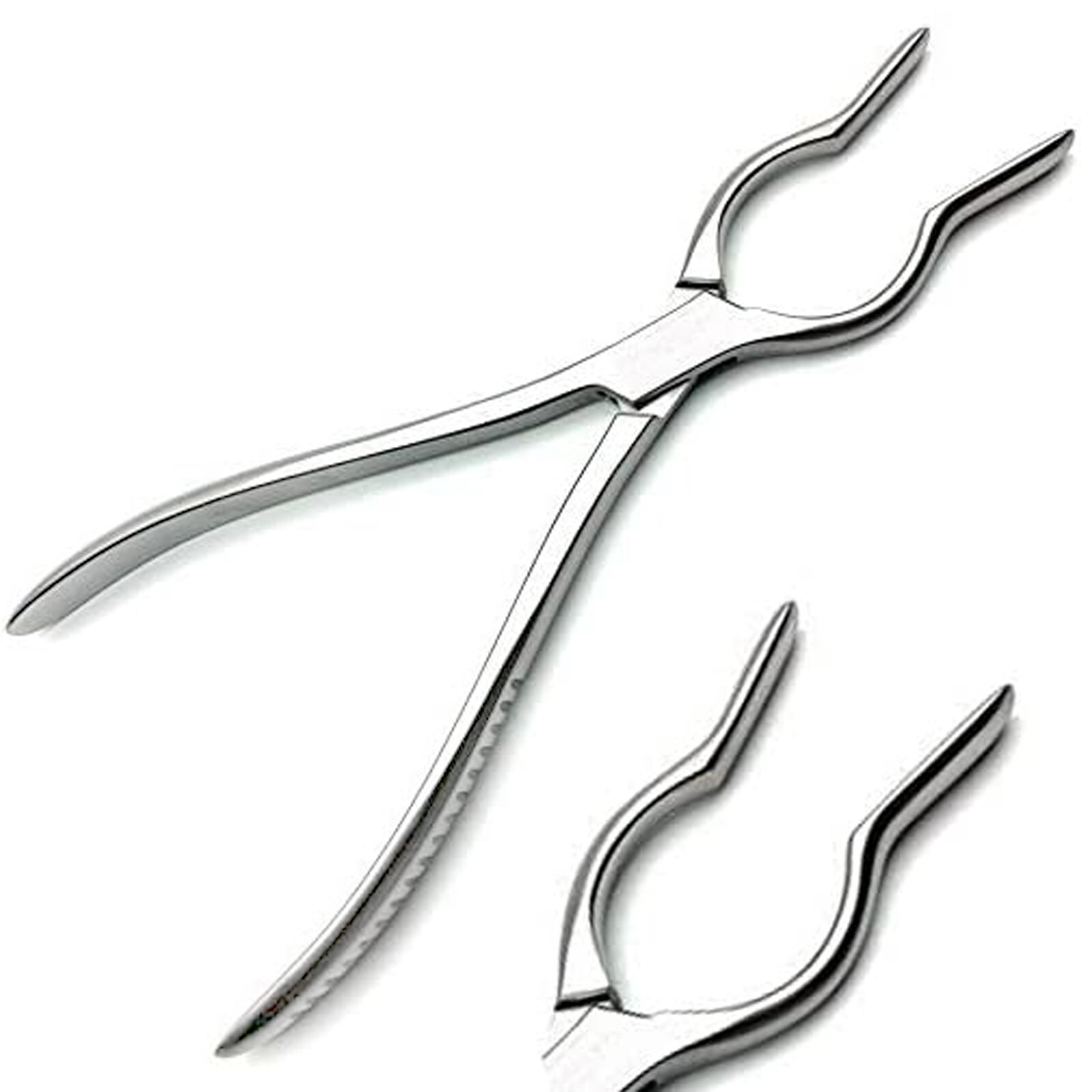 Cottle-Walsham Septum Straightening Forcep Straight 23cm -9''Surgical Instrument