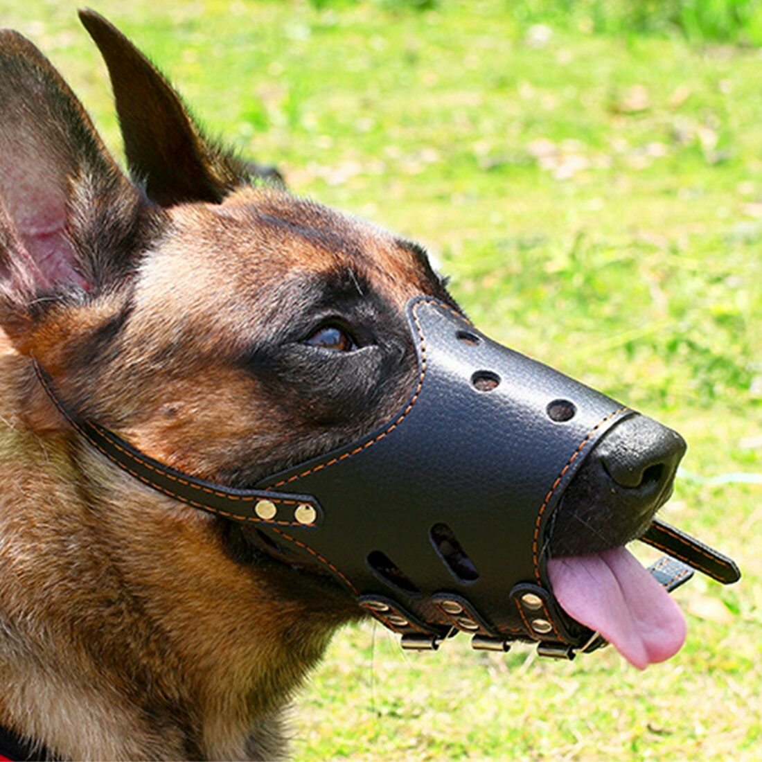 Bozal de Seguridad para Perros Grandes y Pequeños Bozal Ajustable de Cuero PU