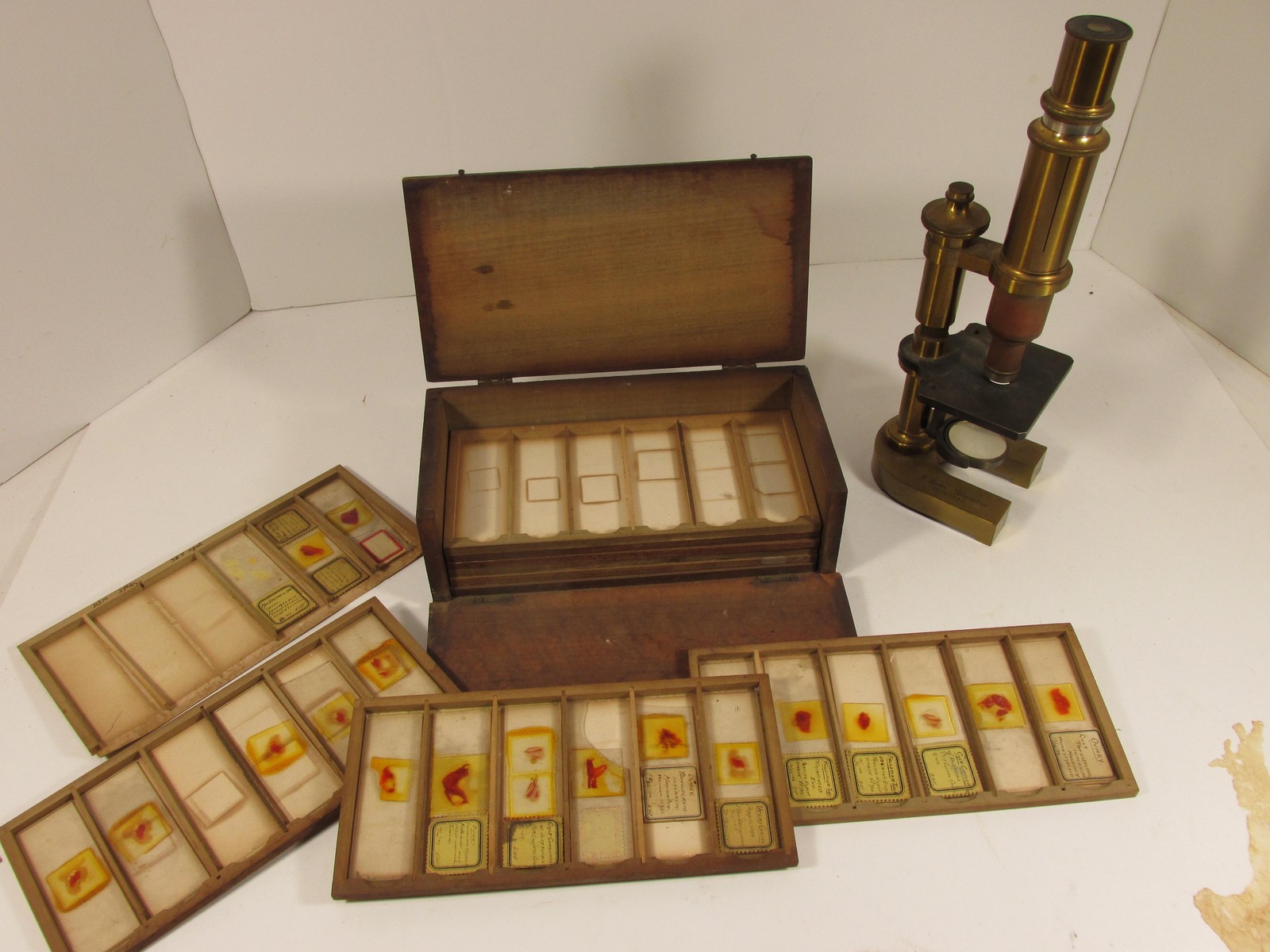 Antique E Leitz Wetzlar Brass Microscope No 27039 Histology Slides Germany
