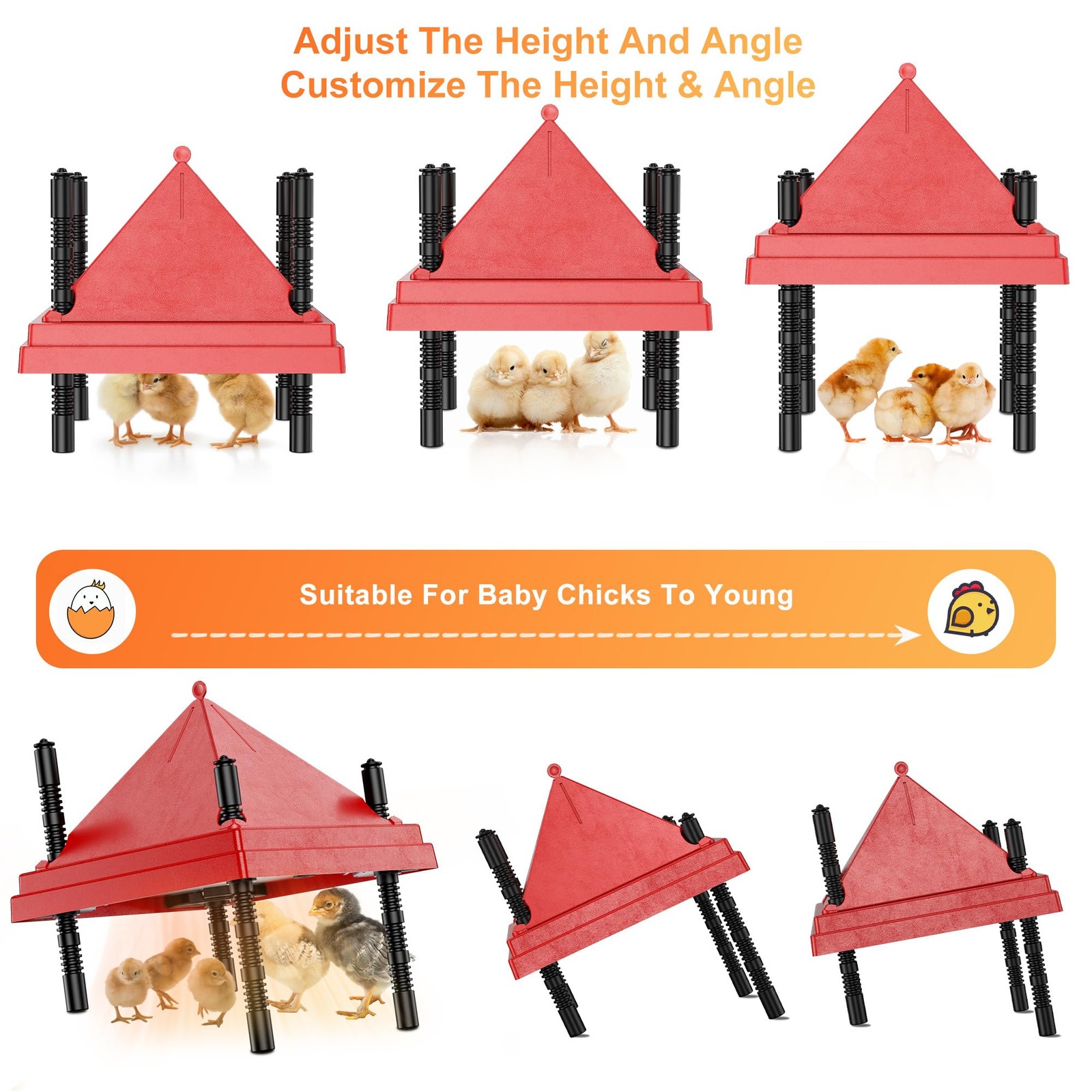 Brooder Plate for Chicks with Anti-Roost Cone, Chick Brooder Heater Red 10" x...
