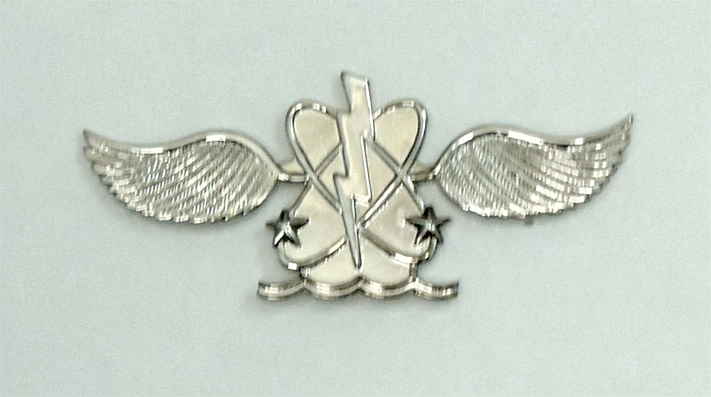 U.S. Navy Aviation Warfare System Operator, (AW) Ball Cap Pin