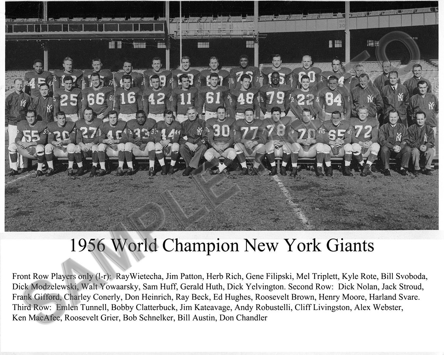 1956 NEW YORK GIANTS NFL CHAMPIONS 8X10 TEAM PHOTO PICTURE
