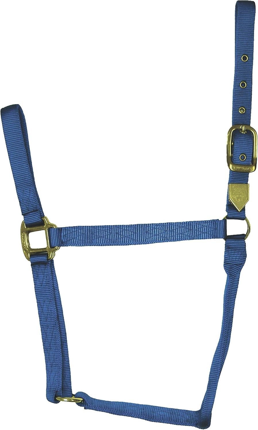 Hamilton Deluxe Horse Halter, 1" Triple Ply Nylon, Average Horse, Arabian, or Ye