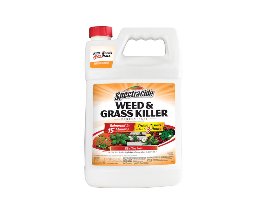 [ BIG SALE ] Spectracide 1-Gallon Concentrate Weed and Grass Killer