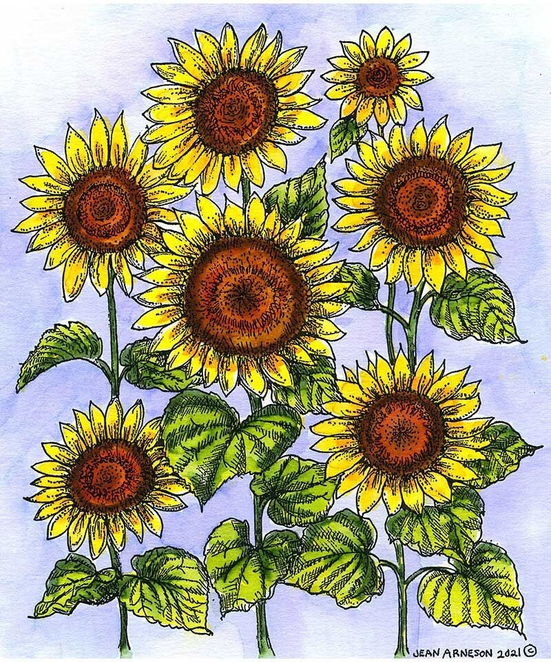 Majestic Sunflowers NORTHWOODS Wood Mounted Rubber Stamp NEW P10994