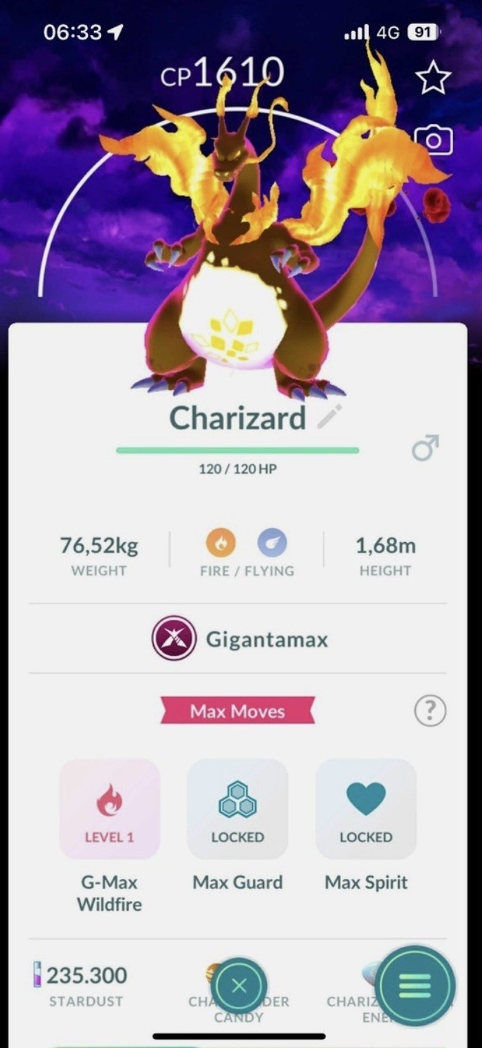 Gigantamax Charizard Max Final Background  - Pokémon Trade Go