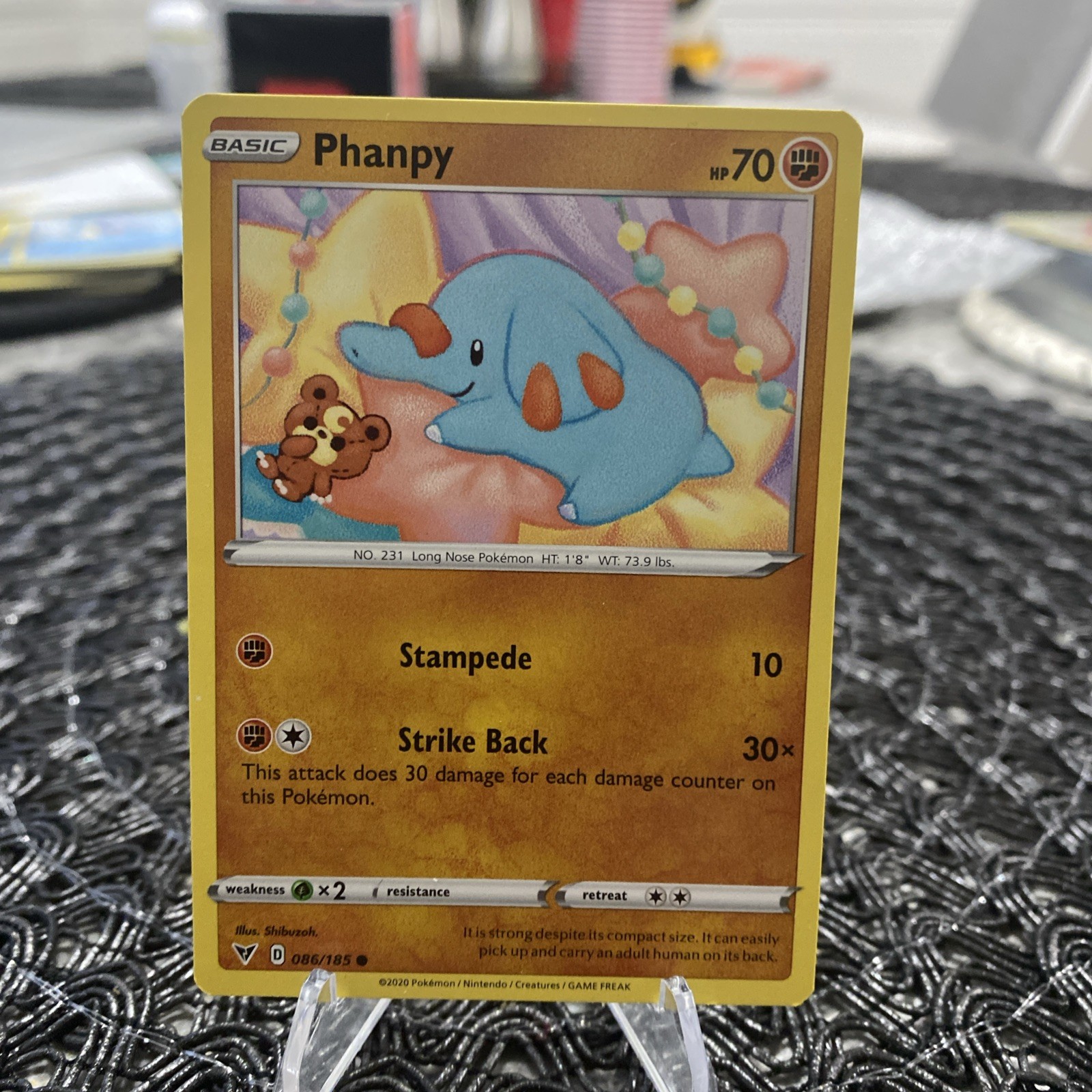 Phanpy & Teddiursa~Cute Cameo Gallery | Hidden Pokémon in Card Art