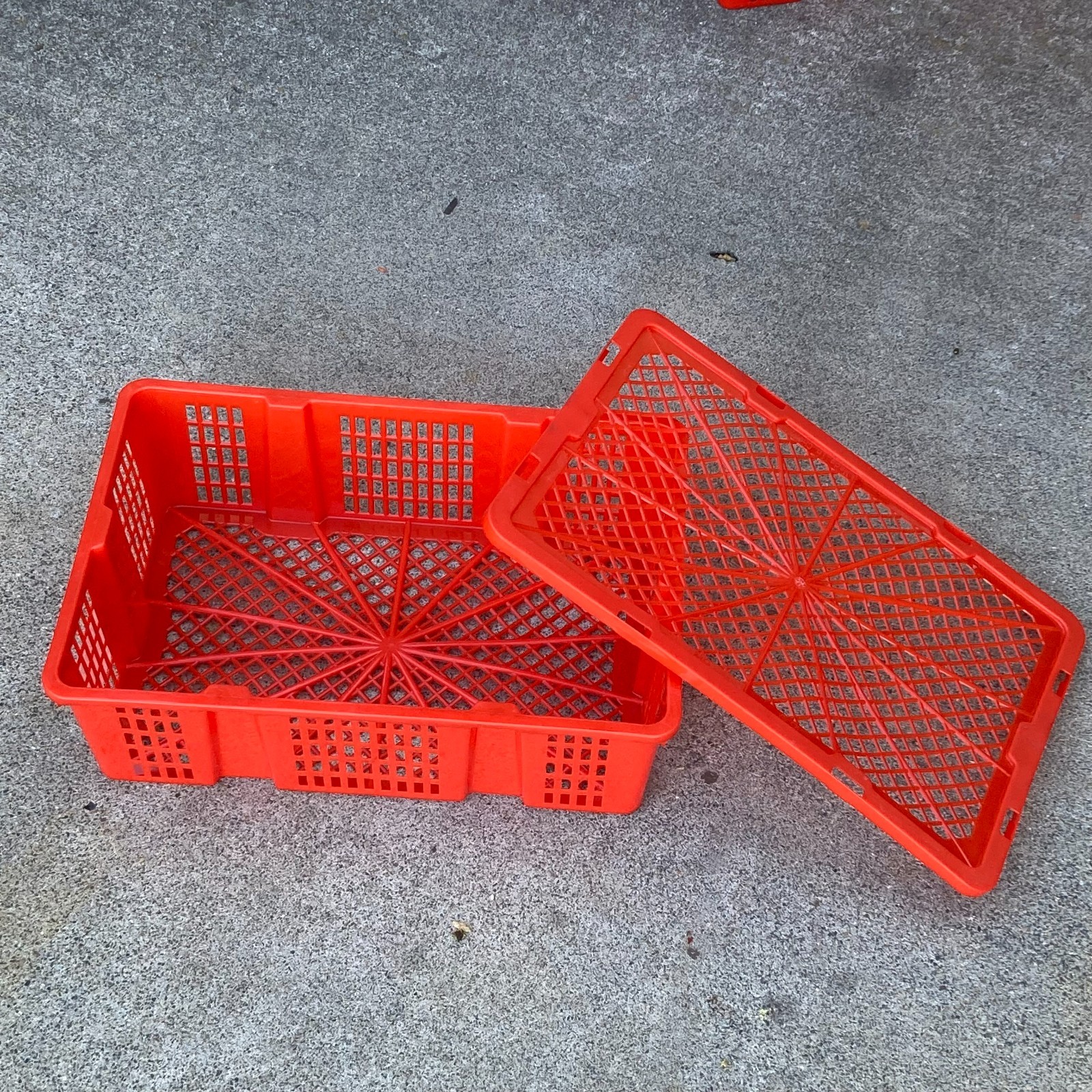 25 RED Plastic Storage Crates Baskets Bins Containers 17.25" x 11.5" x 4.5"