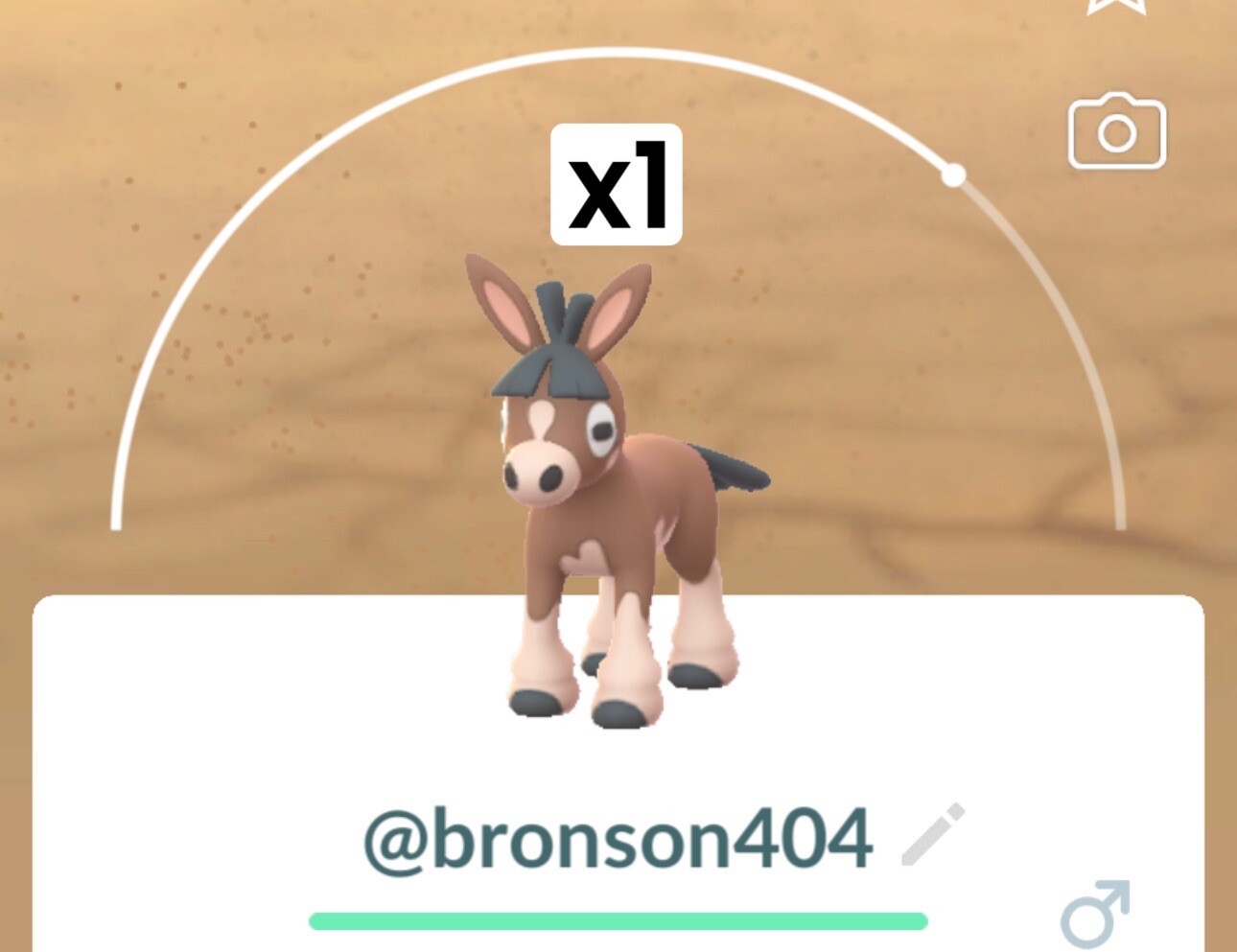 Pokemon Mudbray