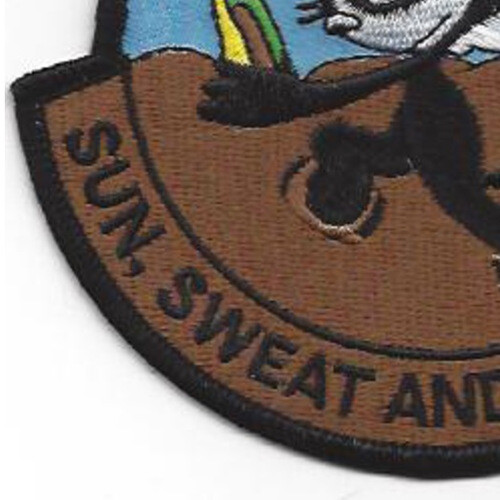 VF-31 Patch Westpac 1994