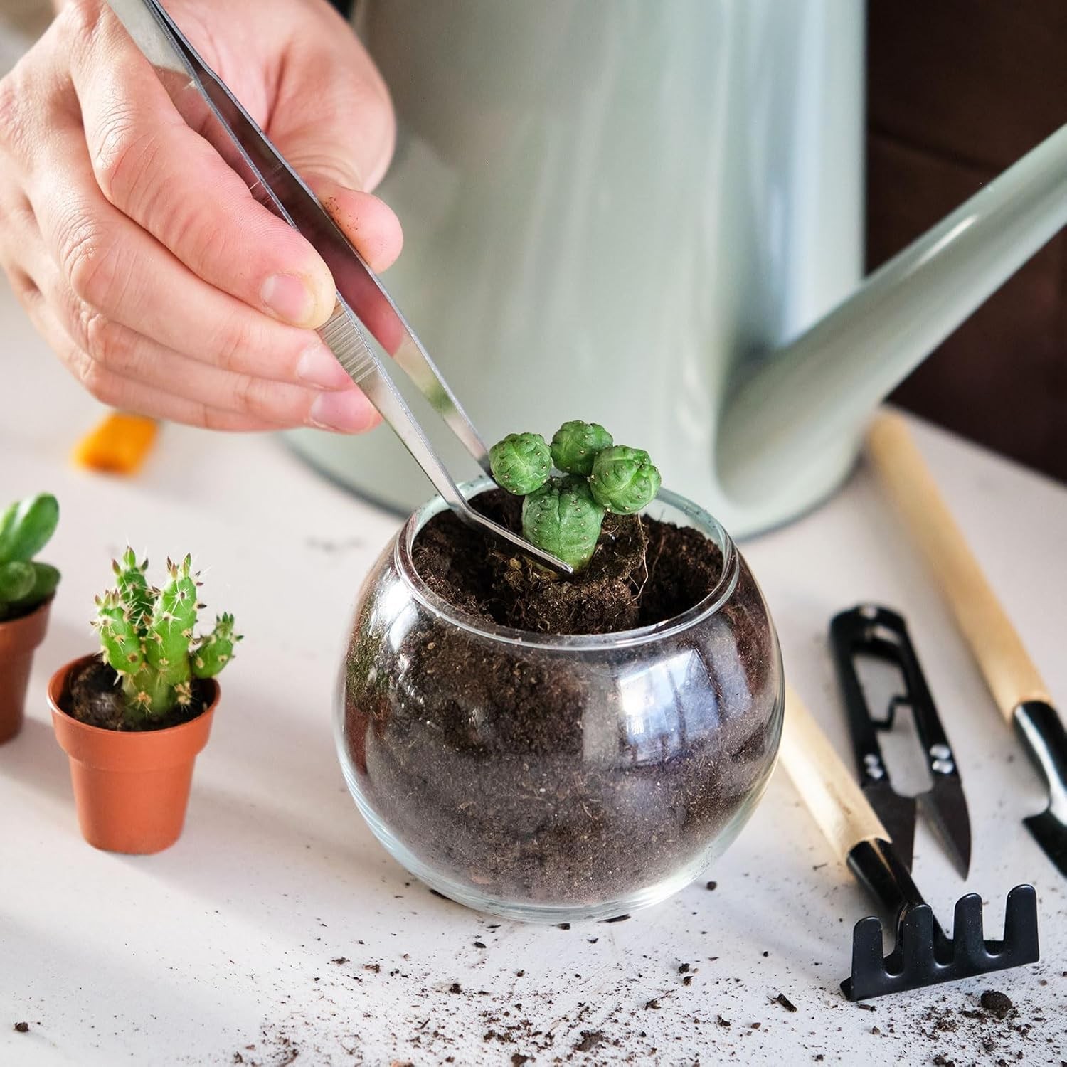 PATIKIL Succulent Tools Set, 12 Pcs Transplanting Set Mini Garden Black