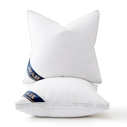 22x22 Feather Down Pillow Inserts with Gusset Bed 22x22 Inch (Pack of 2)