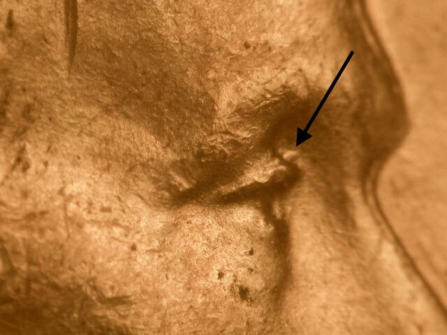 1944-P DDO-??? Doubled Die Obverse Nice BU Uncirculated Red Lincoln Cent#2