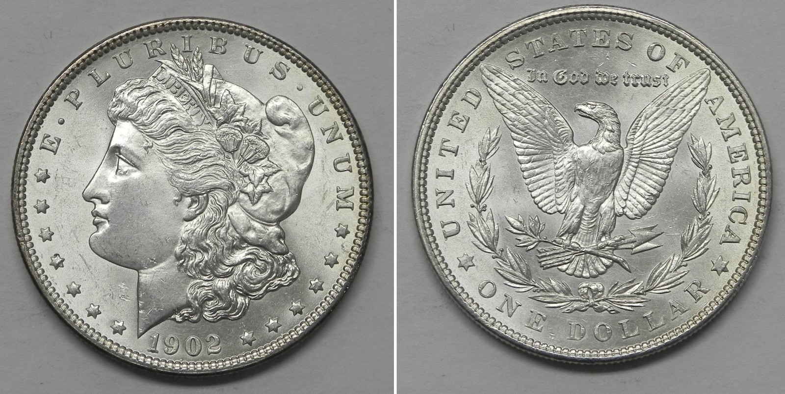 X7610  1902 Morgan Dollar, Choice/Gem BU