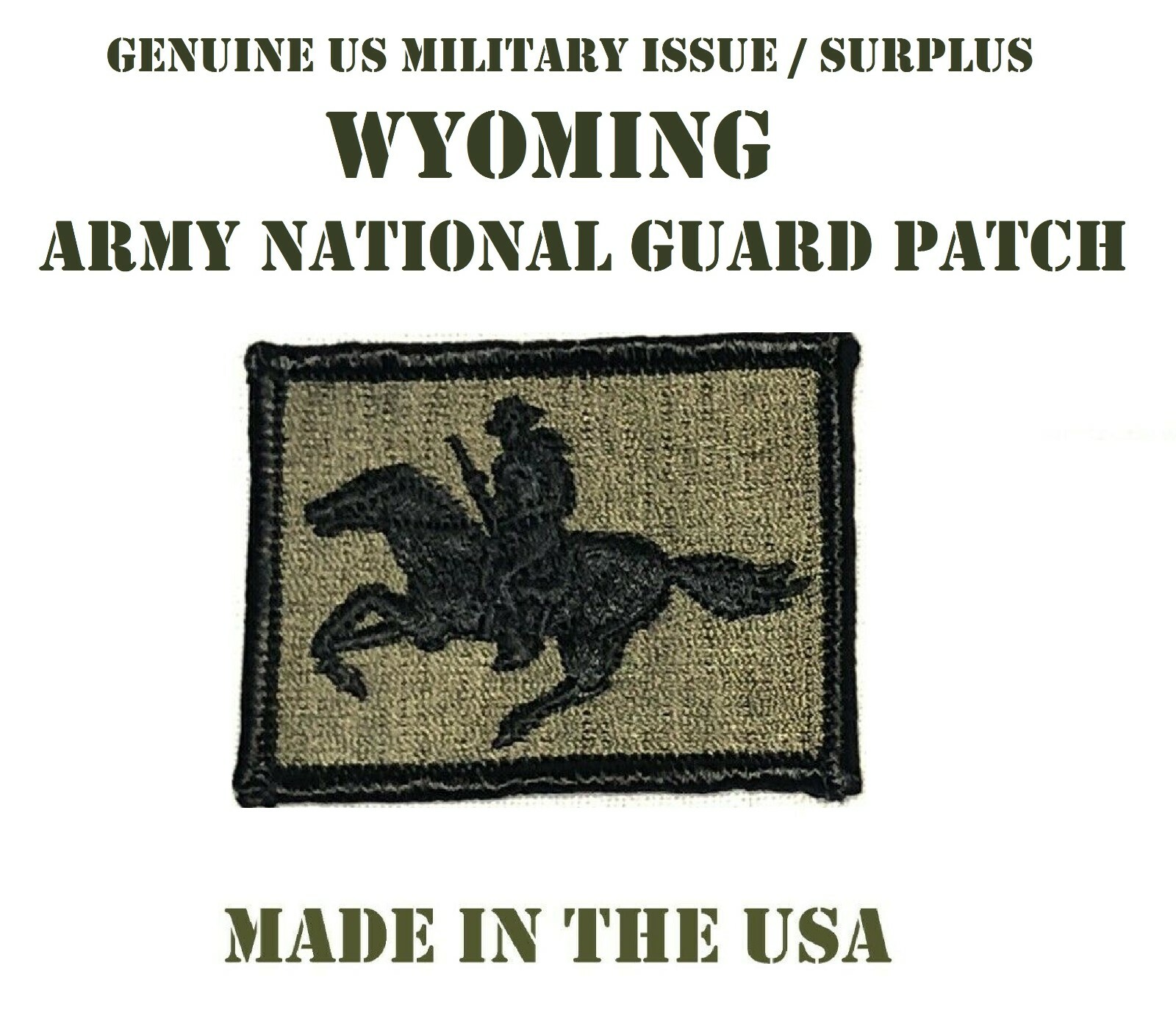 US MILITARY UNIT PATCH PATCHES WY ARMY NATIONAL GUARD SUBDUED BDU SEW-ON NEW NOS