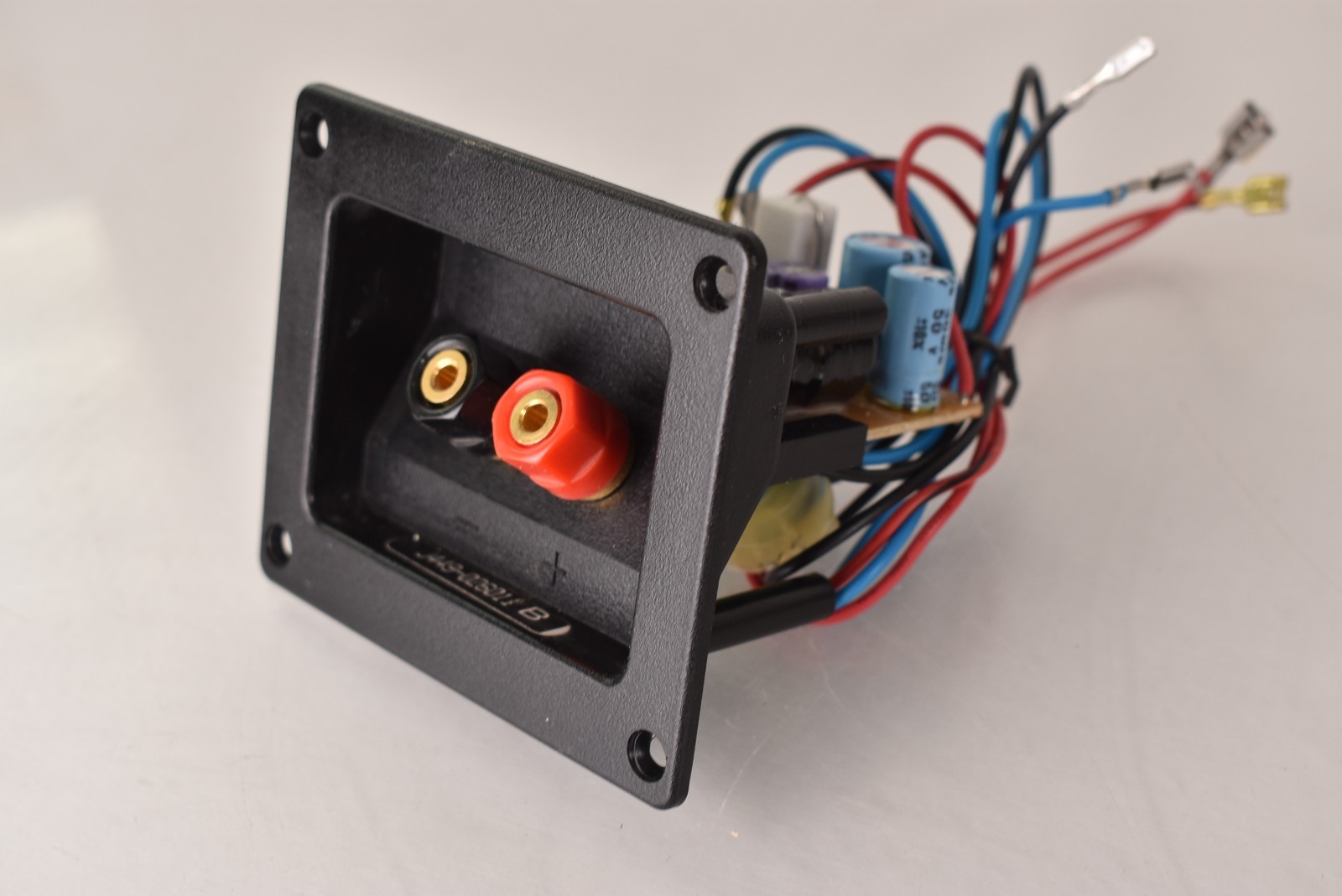 Single Infinity RS1 Bookshelf Speaker Binding Post and Crossover