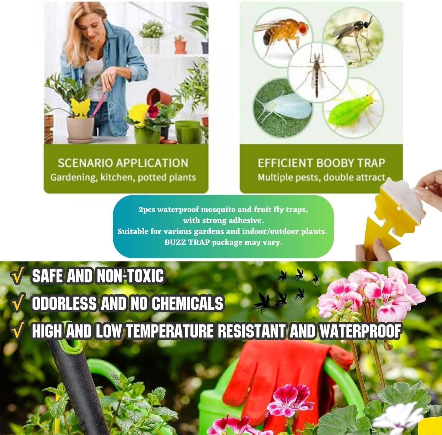 Highly Effective Indoor Fly Trap with UV Light & 4 Refills for Complete Control