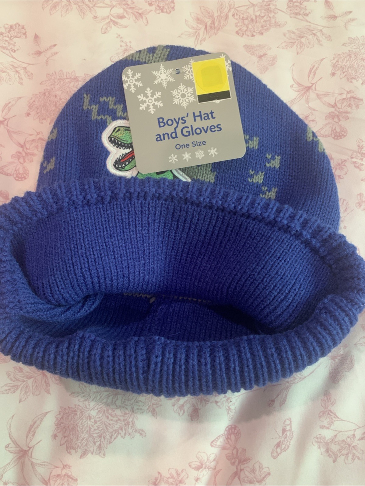 Boys Hat Glove One Size Dinosaur