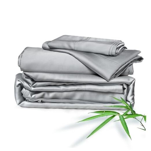 Sheets Bed Sheet Set, 100% Rayon derived from Bamboo, Luxuriously Queen Silver