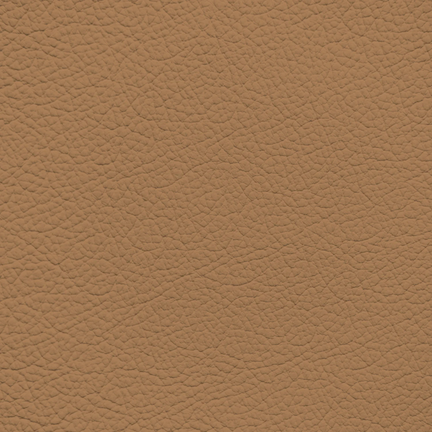 Audi Nutmeg Leather Dye