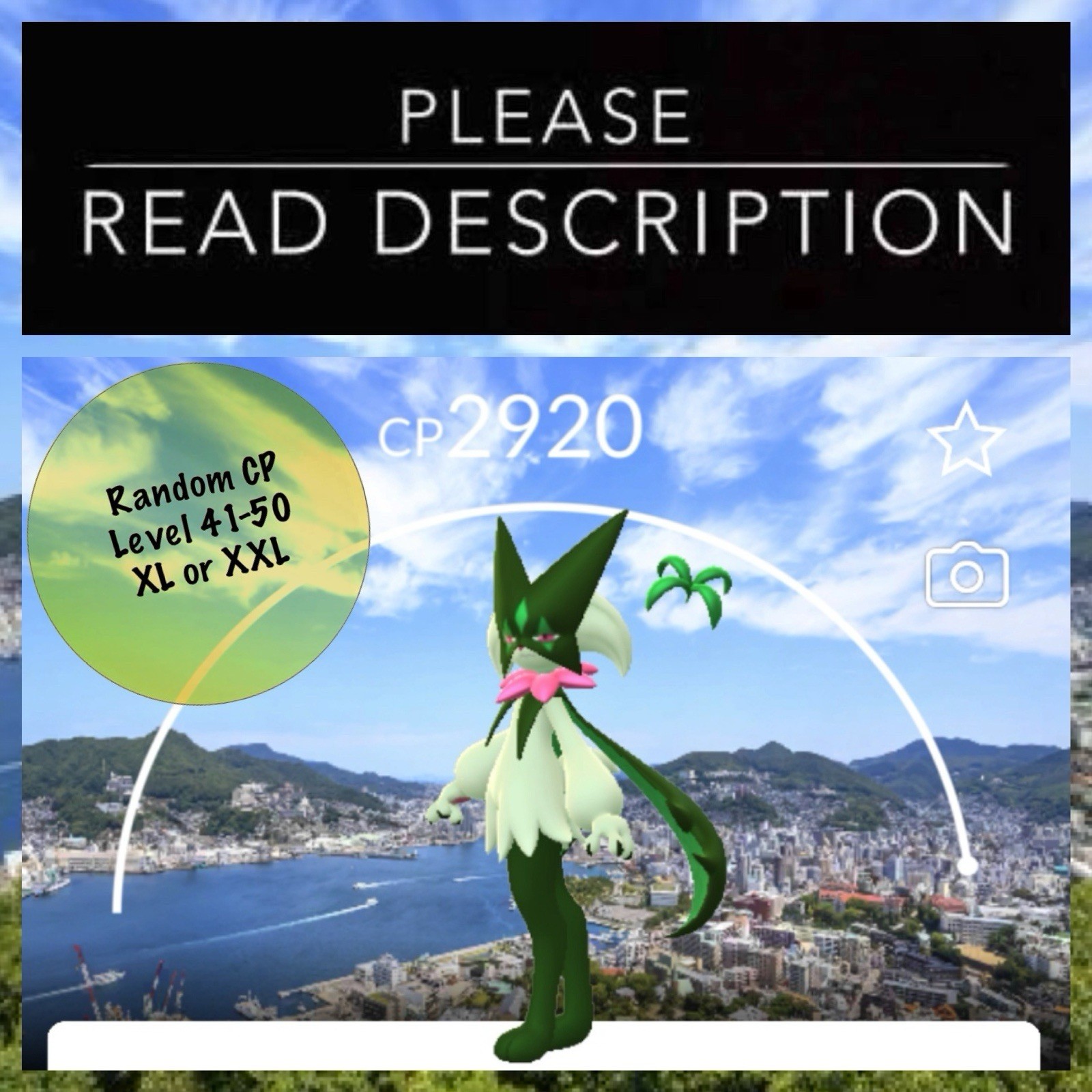 Meowscarada Nagasaki Background Wild Area Mighty Non Shiny - Pokemon Go