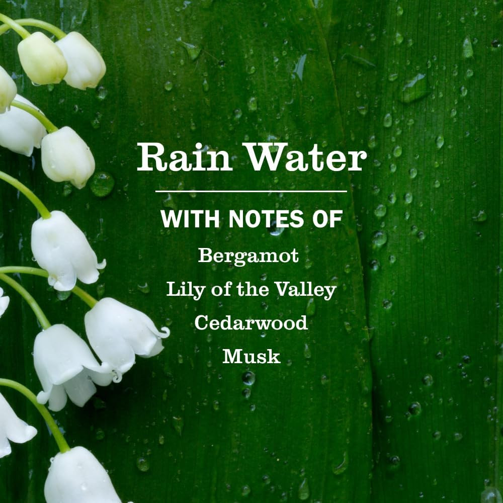 Mrs. MEYER'S CLEAN DAY Multi-Surface Everyday Concentrate, Rain Water Scent, ...