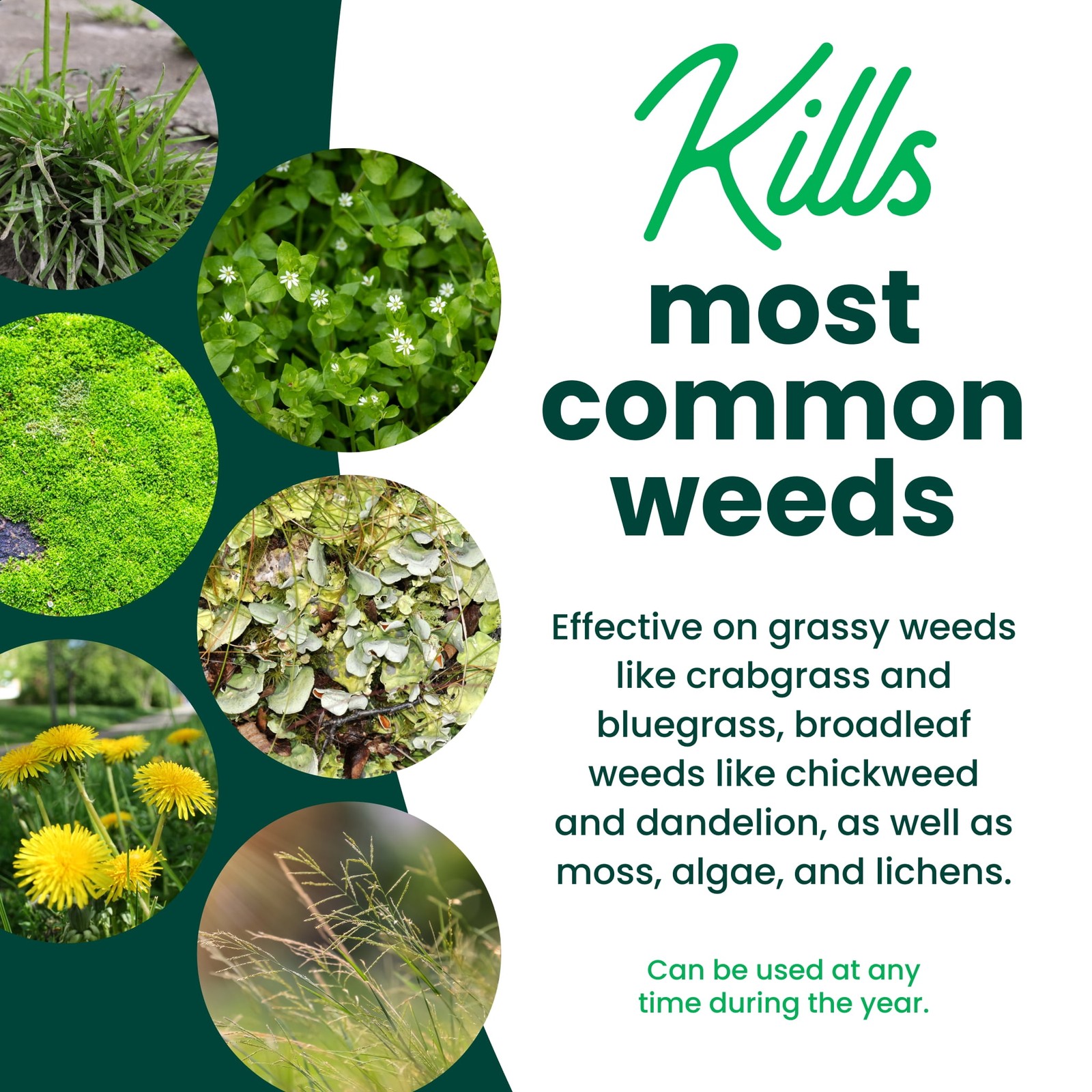 Weed&Grass Killer, Non-Selective Herbicide,OMRI Listed,Ready-to-Use Spray,32floz