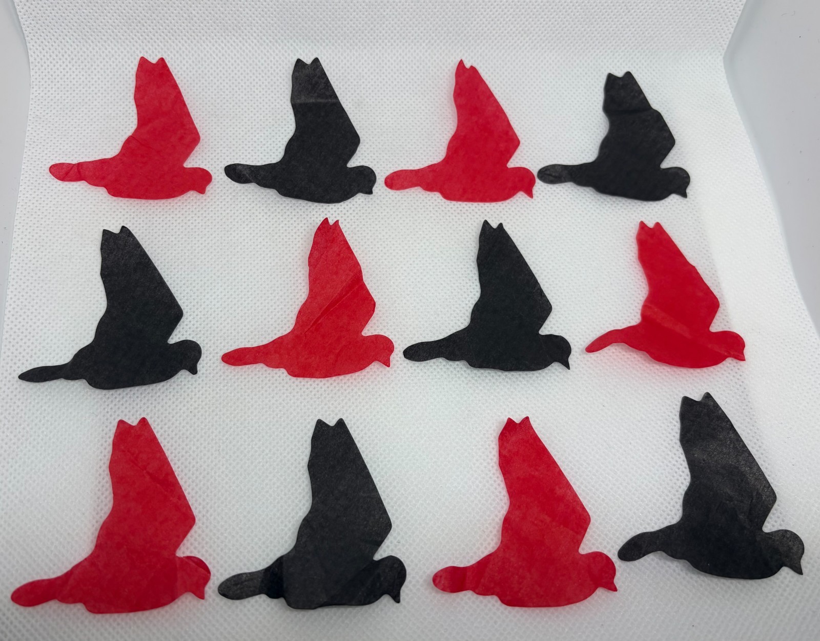 Evanescence Concert Confetti Live Stage Used at Shoreline Amphitheatre on 072026