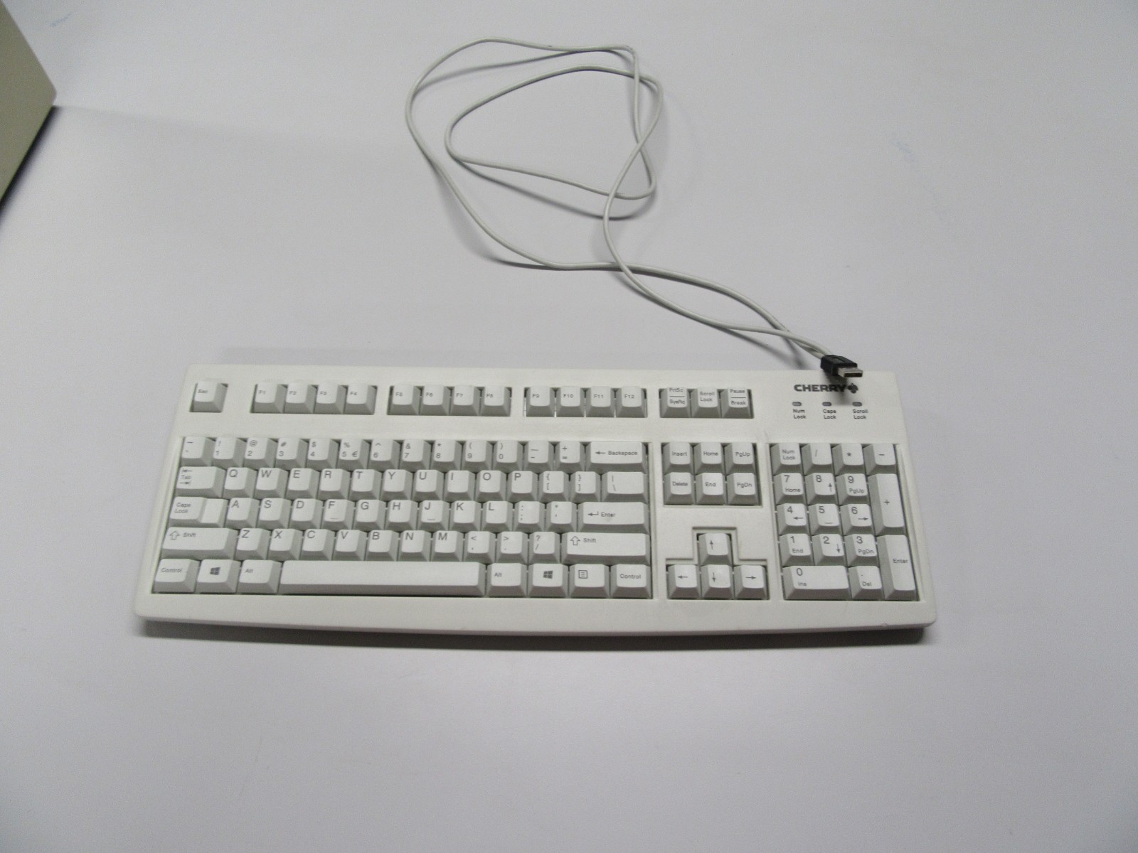 Vintage Cherry RS 6000 USB Mechanical Computer Keyboard Beige