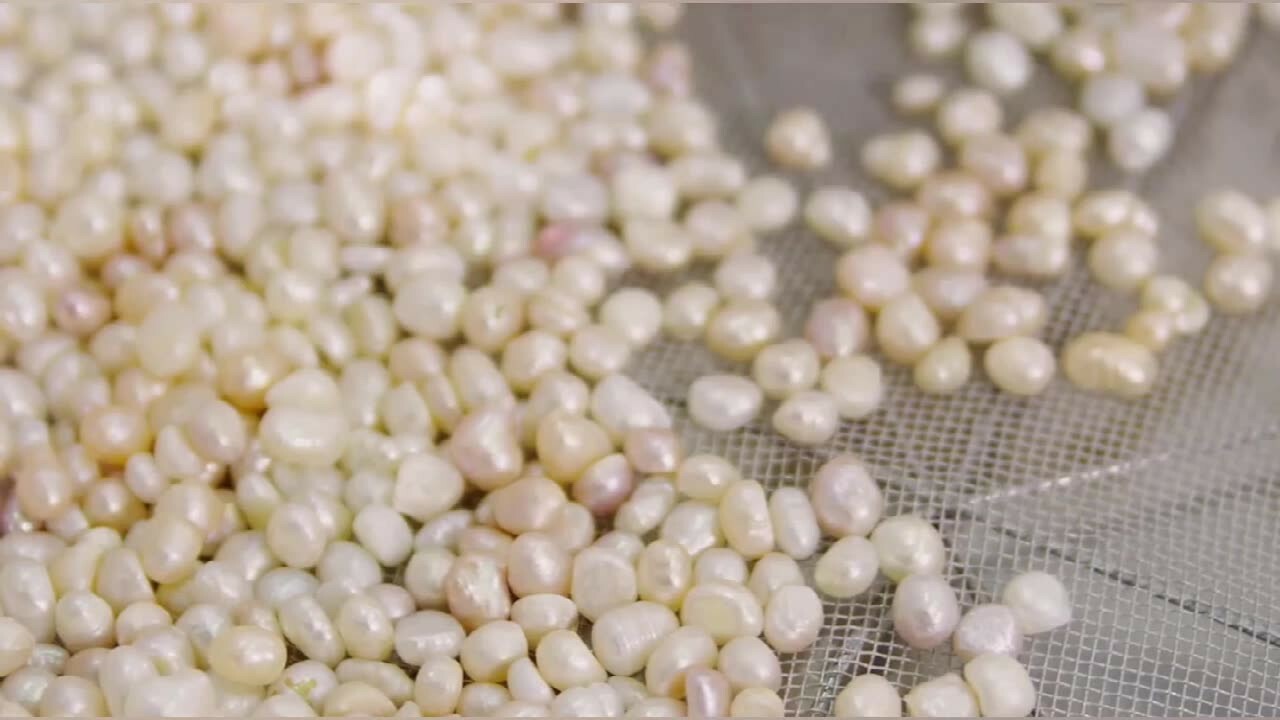 10g PearlpurinPP -  Edible Organic Freshwater Pearl Powder Anti aging supplement