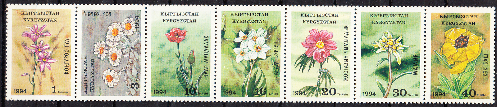 W KYRGYSTAN 033-39b FLOWERS