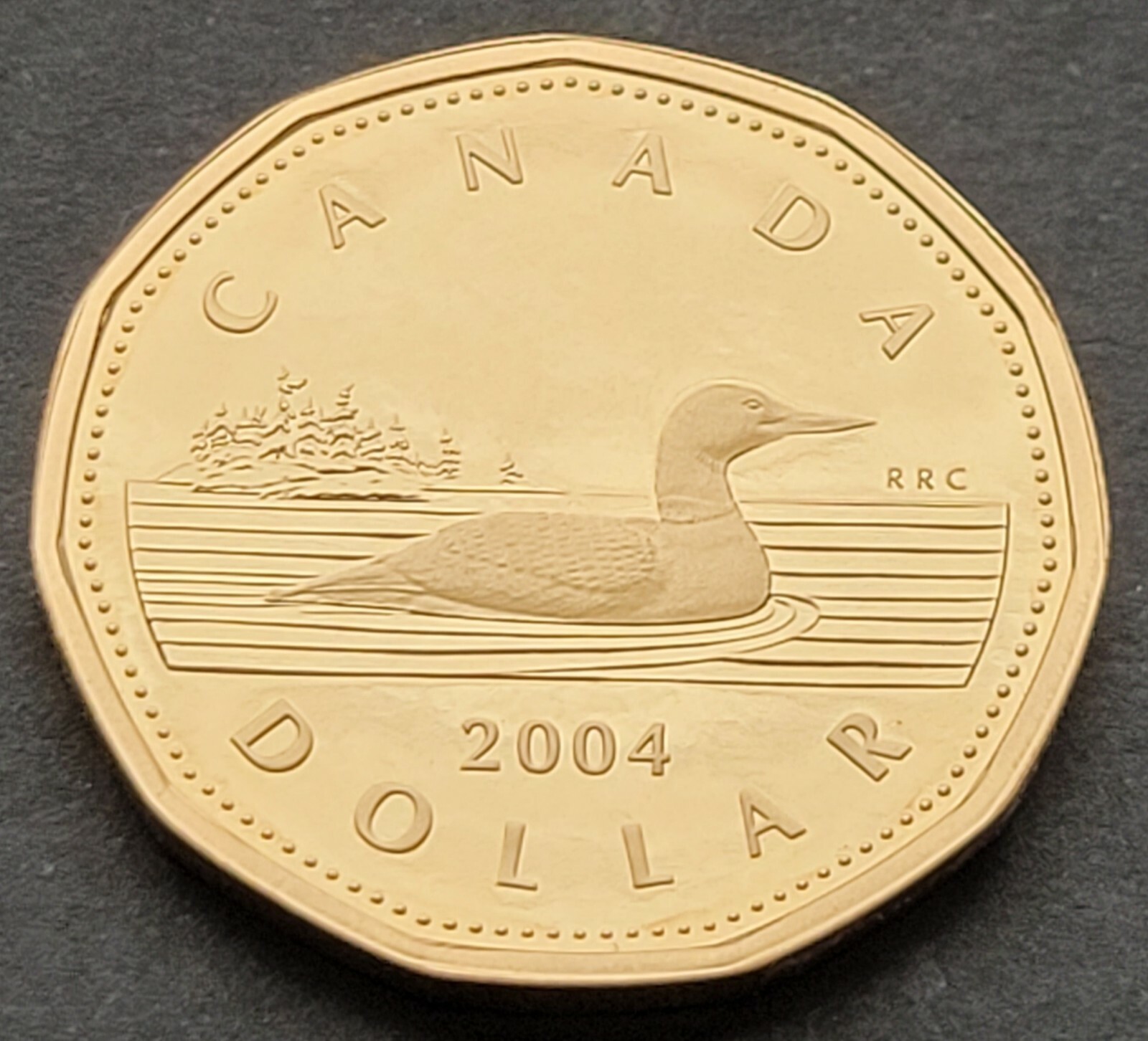 ***  CANADA  LOONIE  2004  ***  PROOF  ULTRA  HEAVY  CAMEO ***