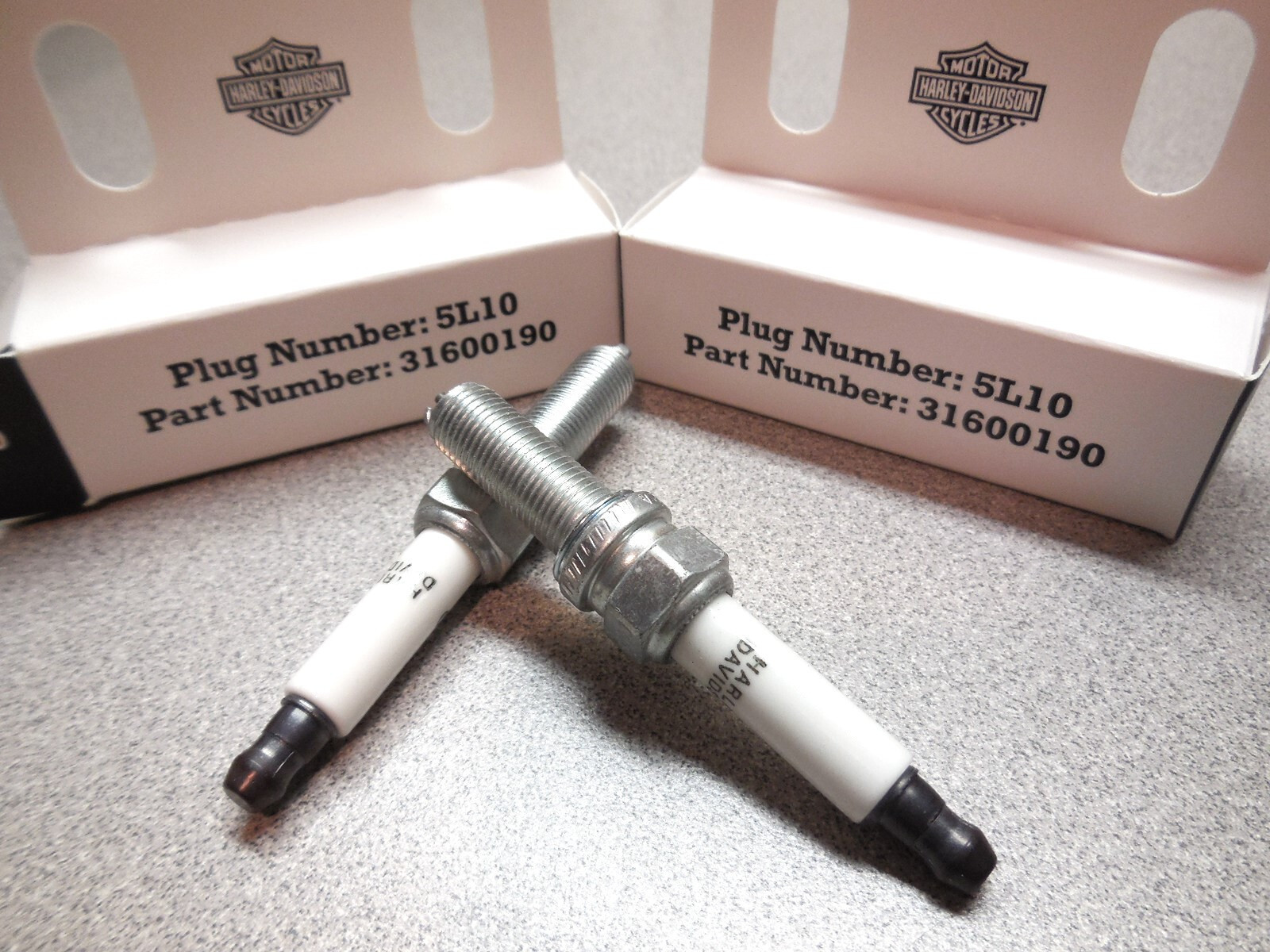 (2) OEM HARLEY '21-up PAN-AMERICA SPORTSTER RH975 1250 REV MAX SPARK PLUGS 5L10
